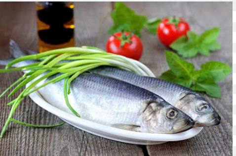 Фото Сельдь Олюторская слабой соли