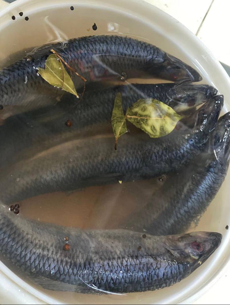 Фото Сельдь Олюторская пряного посола