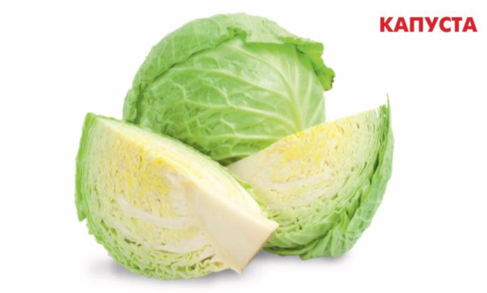 Фото Капуста