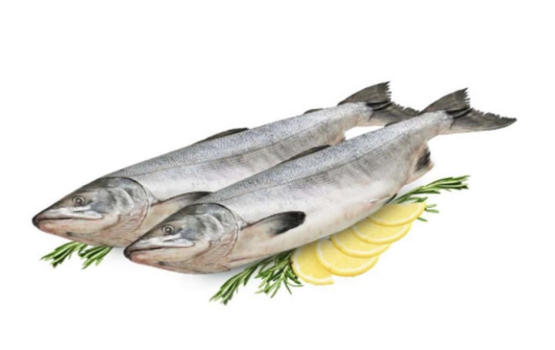 Фото Горбуша свежемороженая