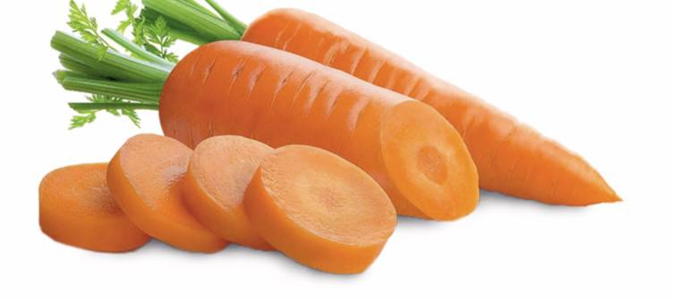 Фото Морковь