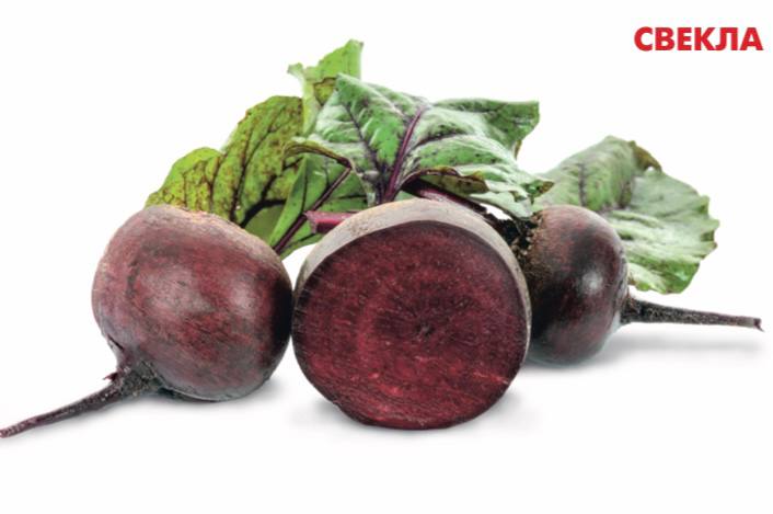 Фото Свекла