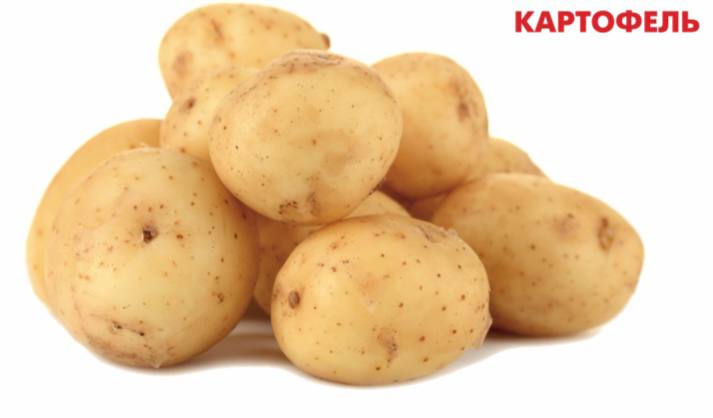 Фото Картофель Гала опт от 30 кг
